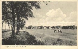 42104386 Aurich Ostfriesland Ostfriesische Landschaft Baumallee Kuehe Aurich Ost - Aurich