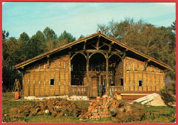 Parc Naturel Régional Landes De Gascogne - Sabres - Maison 'Le Mineur' 1772 - Fabrication Du Torchis - Ecomusée Marquèze - Sabres