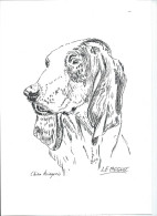 Art & Antiquités > Tableaux > Dessins  Ariegeois Chien De Chasse Veritable Encre Originale   De Bernard Le Beguec - Disegni