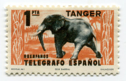 [FBL ● A-02] SPANISH TANGIER - 1950 - Beneficent Stamps - 1 Pta - Beneficiencia (Sellos De)