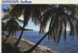 97106 02 06 - GUADELOUPE - BOUILLANTE - ANSE A GALETS - Basse Terre