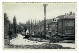 Moortebeek  Anderlecht   Rue Paloke  Palokestraat - Edit. Librairie De Moortebeek - Anderlecht