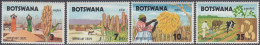 Botswana 1971 - Important Crops: Sorghum, Millet, Corn, Peanuts - Mi 71-74 ** MNH - Botswana (1966-...)
