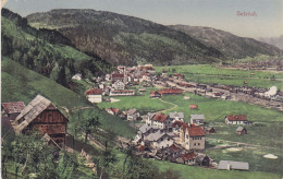 E1552) SELZTAL - Häuser Bauernhof Im Vordergrund Und Blick Auf BAHNHOF Mit Zügen ALT - Selzthal