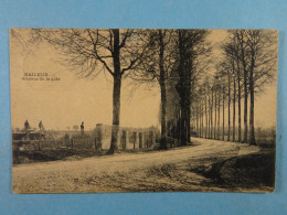 Baileux Avenue De La Gâte - Chimay