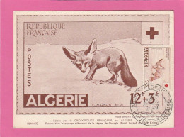 Algérie - Carte Maximum 1957 - YT N°343 - Croix Rouge - Fennec - Cartes-maximum
