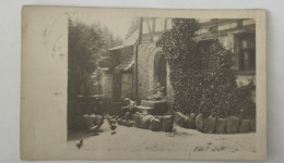 Burg, Bz. Magdeburg, Bauernhof, Hühner, Foto-AK, 1921 - Burg