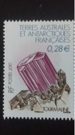 TERRES AUSTRALES ET ANTARTIQUES (TAAF)   N°556** - Nuevos