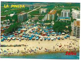 PLAYA / PLAGE / BEACH.- LA PINEDA - SALOU.-  TARRAGONA - ( CATALUNYA ) - Tarragona