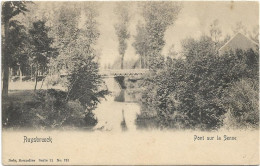 Ruisbroek - Ruysbroeck   *   Pont Sur La Senne (Nels, 731) - Sint-Pieters-Leeuw