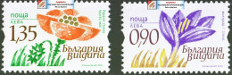 BULGARIA 2023 FLORA Plants FLOWERS - Fine Set MNH - Ungebraucht
