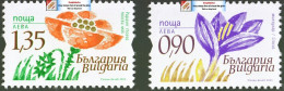 BULGARIA 2023 FLORA Plants FLOWERS - Fine Set MNH - Nuovi