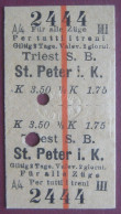 Fahrschein Für Alle Züge 3. Klasse Von Triest / Trieste S. B. Nach St. Peter In Krain (Pivka) 1913 - Europe