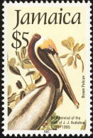 Jamaica 1985 (AVE194) (MNH) ( Mi 606) - Brown Pelican (Pelecanus Occidentalis) - Pelicans