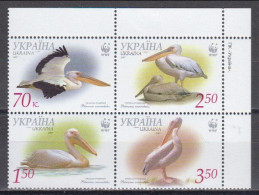 Ukraine 2007 (AVE181) (MNH) (Mi 897C-900C (D 11.5) - Great White Pelican (Pelecanus Onocrotalus) - Pelikanen