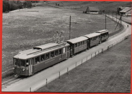 MATT ELM Sernftalbahn Beim Meissenboden Im Frühling 1969 - Matt