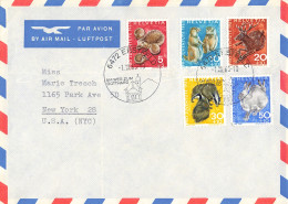 Luftpostbrief In Die USA (AD1084) - Usati