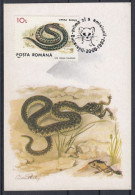 Carte Maximum 1993 - 1-er Jour - SERPENTS - Slangen