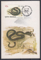 Carte Maximum 1993 - 1-er Jour - SERPENTS - Serpents
