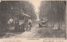 3 Oude Postkaarten   Calmpthout Kalmthout  In De Mastebosschen 1902 Oude Kapel 1902 Op De Bessemhei 1903   Hoelen - Kalmthout