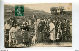 Damazan Vendanges à Loustalet - Damazan