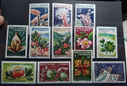 NOUVELLE CALEDONIE - Année Complète 1964 - N°Yv. 314 à 325 - 12 Valeurs - Neuf Luxe ** / MNH - Unused Stamps