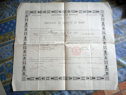 CERTIFICAT DE CAPACITE EN DROIT Daté De 1911 - Diplômes & Bulletins Scolaires