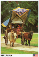 CPM GRAND FORMAT 1 - MALAYSIA - MALAISIE - ELEGANT AND CHARMING BULLOCK CARTS - Malaysia