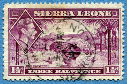 [FBL ● A-02] SIERRA LEONE - 1941 - King George VI, Rice Harvesting - 1½ D, Three Halfpence - Michel SL 154 - Sierra Leona (...-1960)