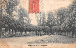 PIE-23-GOLL. 7742 : CHATELAUDREN. PROMENADE - Châtelaudren