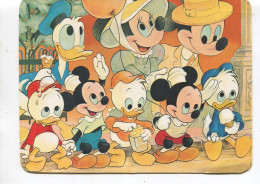EVERYONE LOVES A PARADE - MICKEY, MINNIE, DONALD - DISNEYLAND - 1980 - LARGEUR (17cm X 13CM) - Disneyland