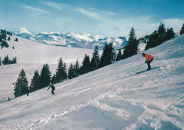 74 Thollon Les Memises Ski Sur Le Plateau Des Memises - Thollon
