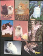 USSR. 1982 - 1991. Cat. Chat - Petit Format : 1981-90