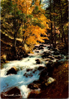 2-1-2024 (4 W 6) France - Rivière En Montagne Et Arbres - Arbres