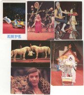 USSR. 1973 - 1986. Cirque. Circus. Animals. Horse. Dog - Petit Format : 1981-90