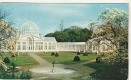 Syon House, Brentford, Middlesex Home Of His Grace The Duke Of Northumberland The Great Conservatory Design C. Fowler - Middlesex