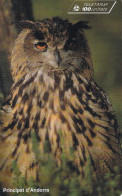 OWL--BUHOS - Andere & Zonder Classificatie