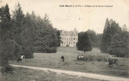 FRANCE - Bovel - Château De La Roche Cotherel - Troupeau De Vaches - Carte Postale Ancienne - Otros & Sin Clasificación