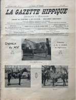 1901 Rare Revue Hippique LA GAZETTE HIPPIQUE Sportive Et Mondaine N° 9 - CHEVAUX DU MIDI - COURSES DE TARBES - GAILLON - Reiten