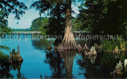 72706859 Tiptonville Reelfoot Lake - Sonstige & Ohne Zuordnung