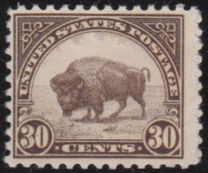 USA    .    Yvert    .   244-B    .    *     .   Mint-hinged - Nuevos