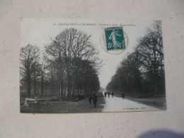 CPA 28 EURE ET LOIR - CHATEAUNEUF-en-THYMERAIS : Entrée De La Forêt - Route De Dreux - Châteauneuf