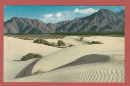 CP AMERIQUE ETATS UNIS COLORADO DESERT SAND DUNES 1 - Andere & Zonder Classificatie