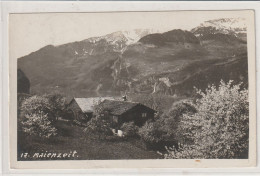 MAIENZEIT AM WALLENSEE - Gams