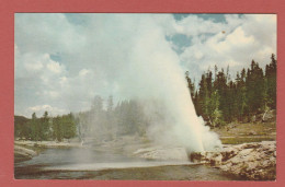 CP AMERIQUE ETATS UNIS MONTANA YELLOW STONE PARK 1 - Sonstige & Ohne Zuordnung