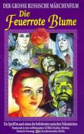 Die Feuerrote Blume [VHS] - Autres & Non Classés