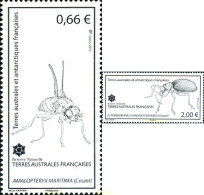 351101 MNH ANTARTIDA FRANCESA 2015 INSECTOS - Ungebraucht