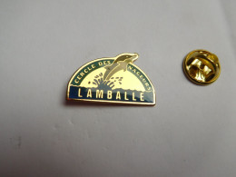 Beau Pin's , Natation , Cercle Des Nageurs De Lamballe , Dauphin , Côtes D'Armor - Schwimmen