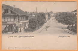 Gruss Aus Herzogenbuchsee Switzerland 1900 Postcard - Herzogenbuchsee