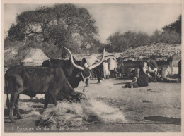 AFRIQUE / CONGO / PAYSAGE DU DISTRICT DE BRAZZAVILLE - Non Classés